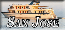 San Jose button